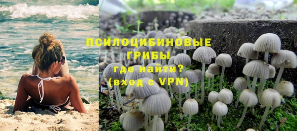 кокс Алзамай