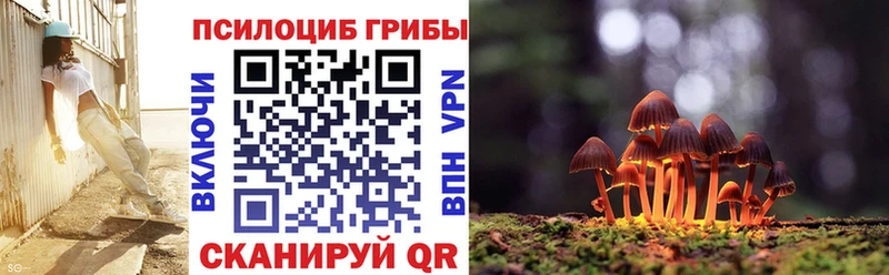Галлюциногенные грибы Psilocybine cubensis Апатиты